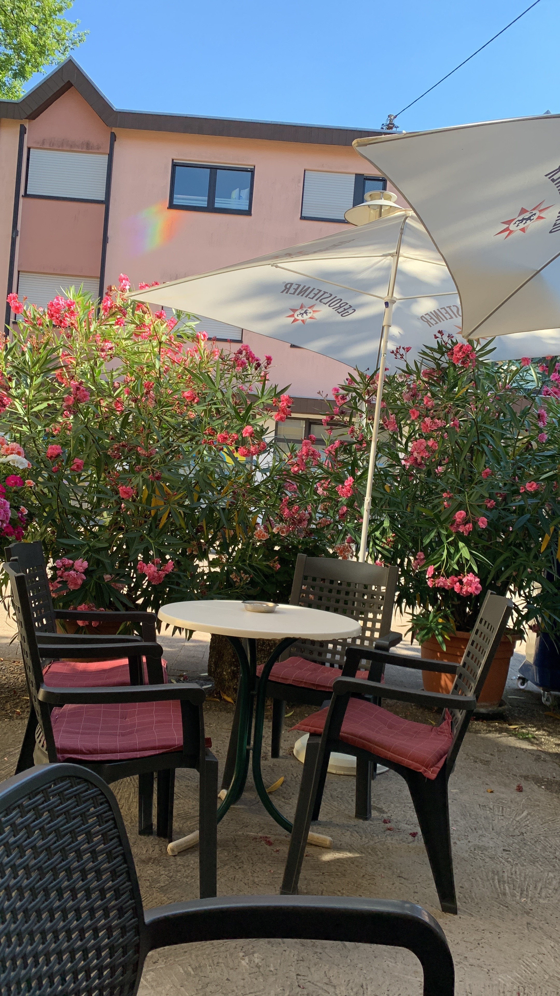 Gemütliche Außenterrasse eines Cafés mit blühenden Oleanderbüschen, Rattanstühlen mit rosa Kissen, einem Sonnenschirm und einem hellrosa Gebäude im Hintergrund an einem sonnigen Tag.